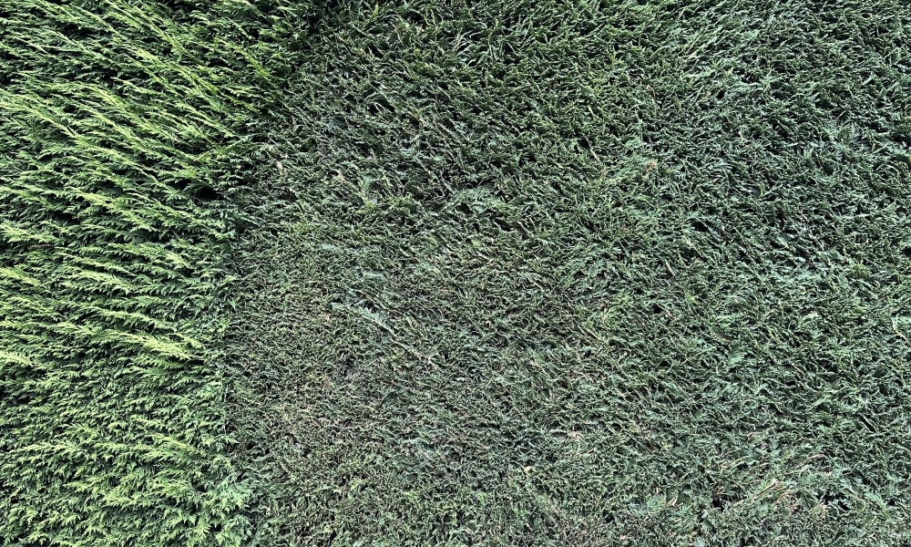 IMG_28012.jpeg
