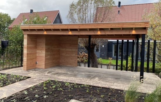Tuinproject Satijnvlinder